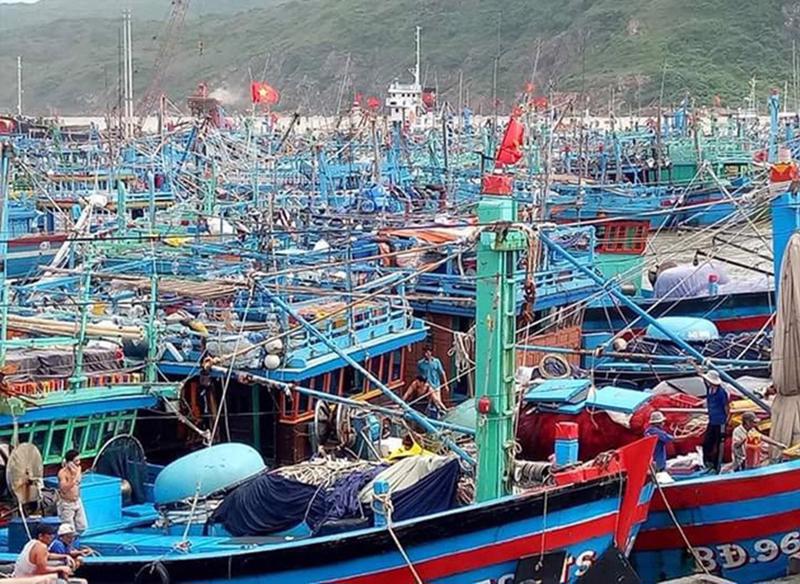 Việt Nam cần đầu tư xậy dựng và nâng cấp nhiều cảng cá.