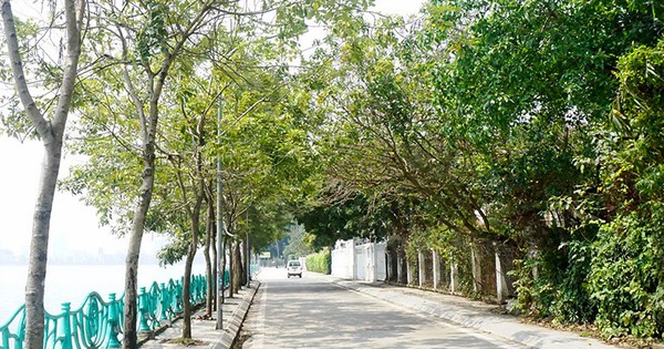 Con đường chỉ 1 km ở Việt Nam vào top 30 đường phố đẹp nhất thế giới