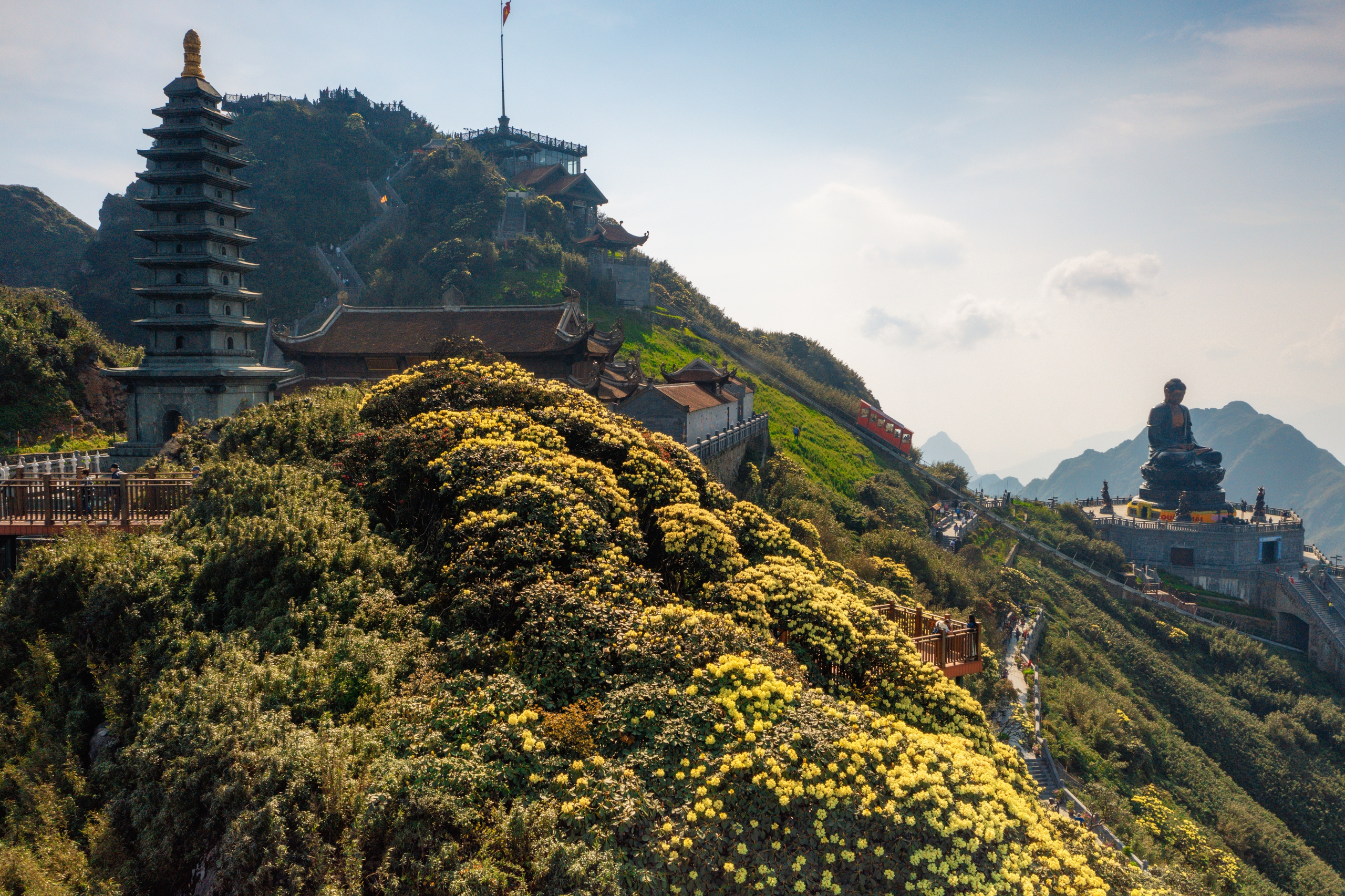 Từ trên cáp treo, du khách có thể chiêm ngưỡng những thảm hoa vàng và đỏ rực rỡ, sáng bừng cả không gian rộng lớn giữa độ cao từ 2.000m tới đỉnh Fansipan