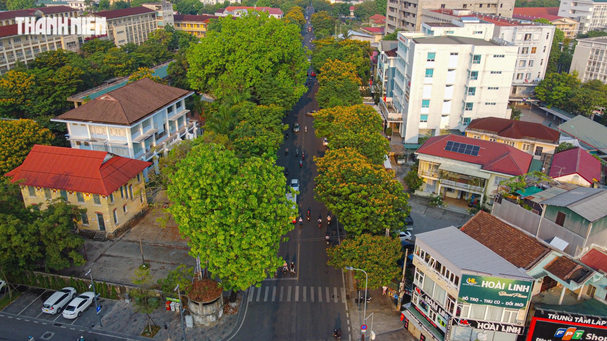 mùa hoa điệp vàng được trồng để tạo bóng mát các con phố, trong đó nhiều nhất trên đường Nguyễn Huệ