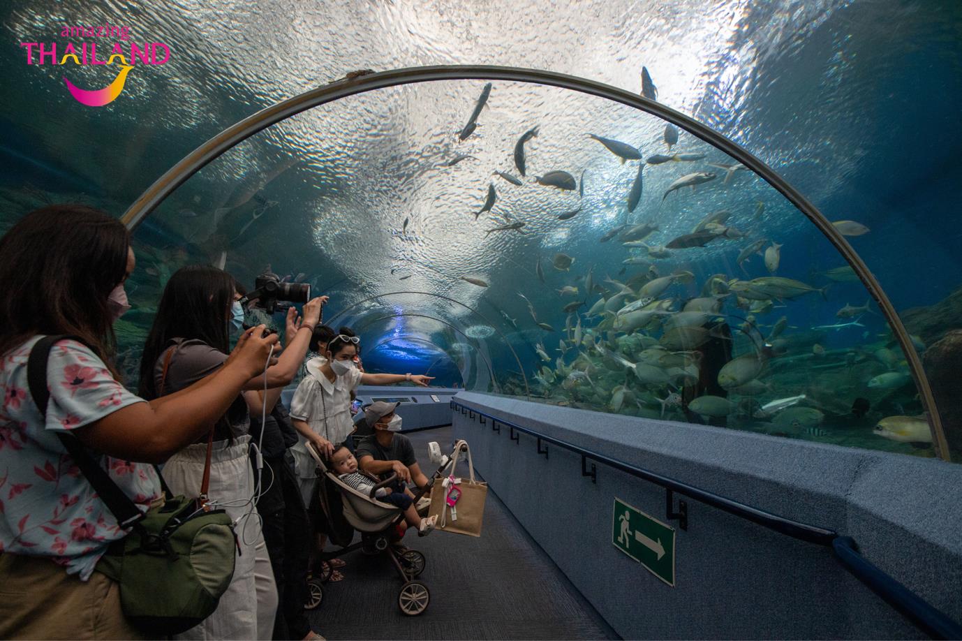 Thủy cung Underwater World Pattaya ở Pattaya - Chonburi. Photo: Tổng cục Du lịch Thái Lan