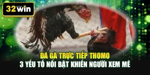 Đá gà trực tiếp Thomo